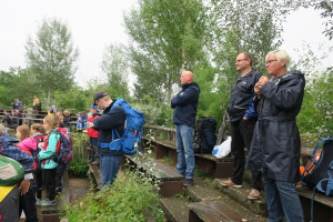 Keine Angst vor großen Tieren beim Ferienpass