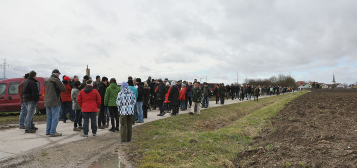 Bei windigem, aber trockenem Wetter wanderten die Kandidaten der FWI sowie einige Kreistagskandidaten den Hutewaldweg in Hellmitzheim entlang.